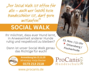 Social Walk in Ottersberg und Umgebung, Landkreis Verden